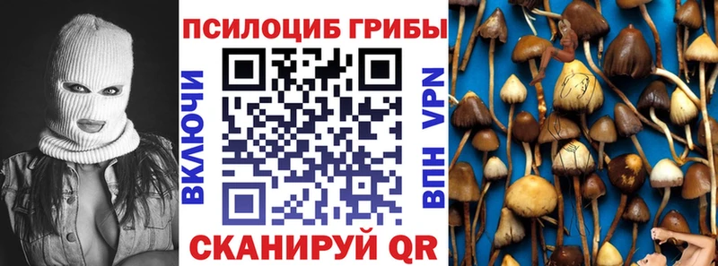 hydra ссылка Правдинск Галлюциногенные грибы Psilocybe где продают